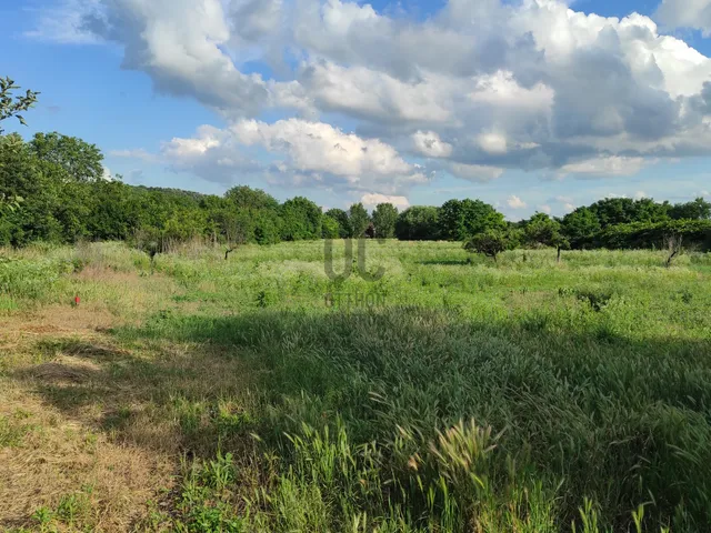 Eladó telek Andornaktálya 809 nm