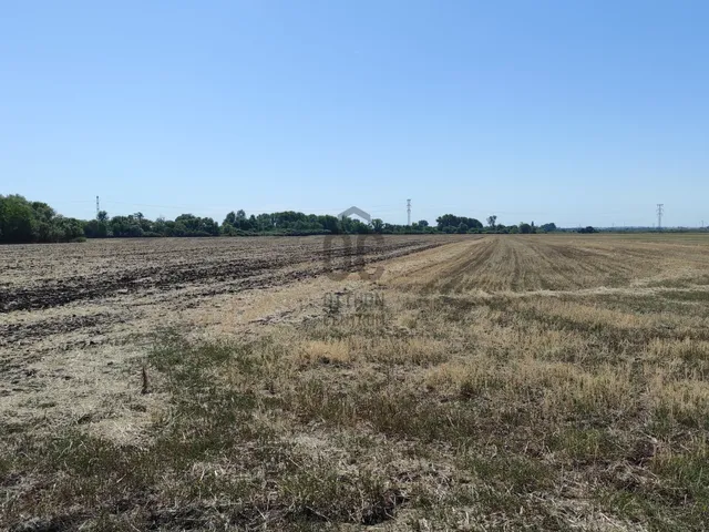 Eladó telek Gyöngyös, Déli iparterület 20297 nm