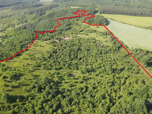 Eladó mezőgazdasági ingatlan Recsk 416484 nm