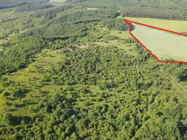 Eladó mezőgazdasági ingatlan Sirok 129903 nm