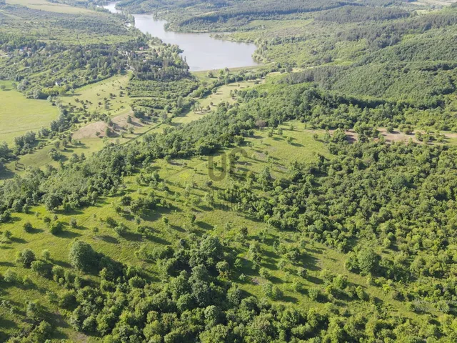 Eladó mezőgazdasági ingatlan Sirok 129903 nm