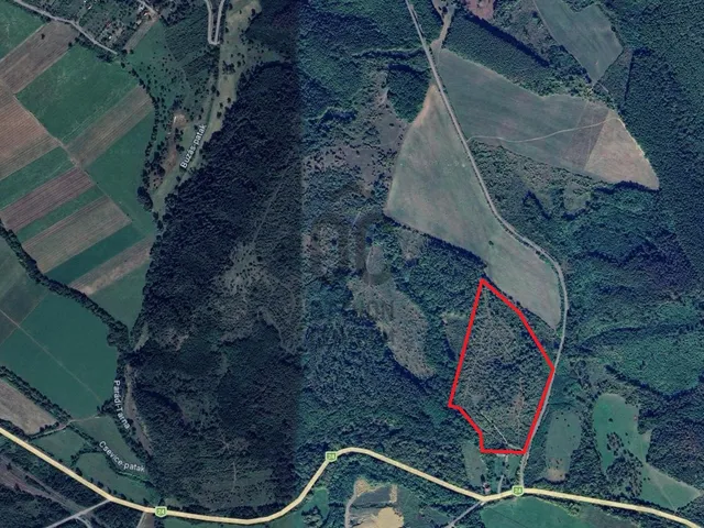 Eladó mezőgazdasági ingatlan Sirok 81977 nm