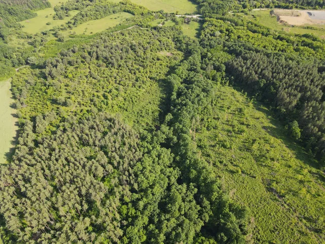 Eladó mezőgazdasági ingatlan Sirok 81977 nm