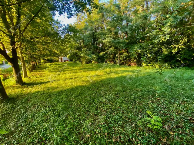 Eladó telek Fertőszentmiklós 1582 nm