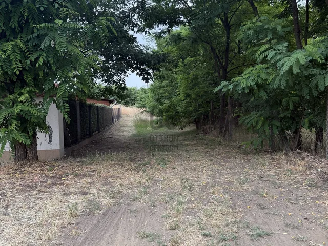 Eladó telek Nyíregyháza, Rozsrétszőlő 4781 nm