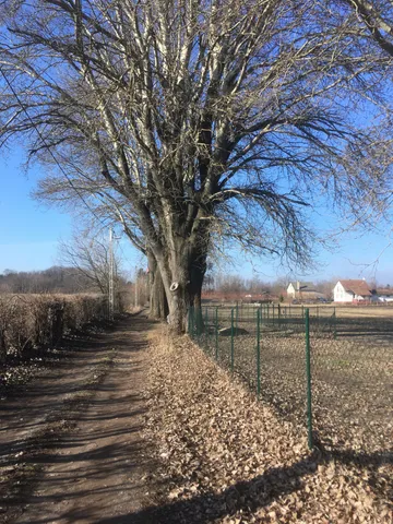 Eladó telek Nyíregyháza, Sóstóhegy 15000 nm