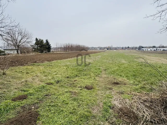 Eladó telek Nyíregyháza 5920 nm
