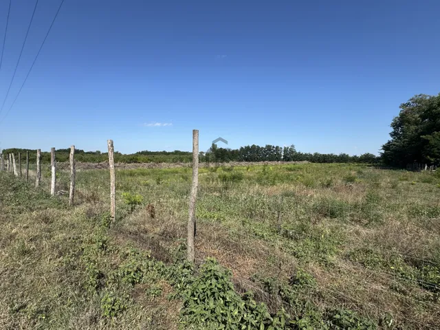 Eladó telek Nyíregyháza 16000 nm
