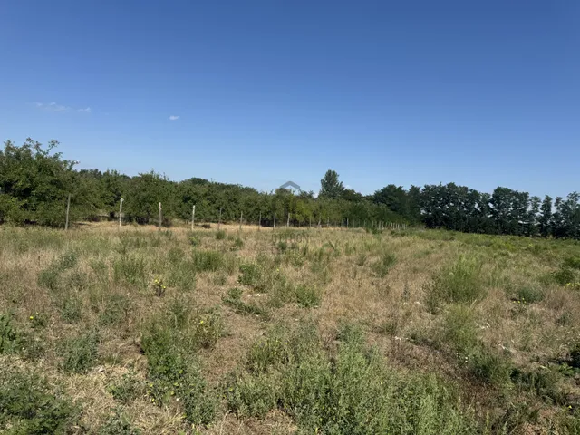 Eladó telek Nyíregyháza 16000 nm