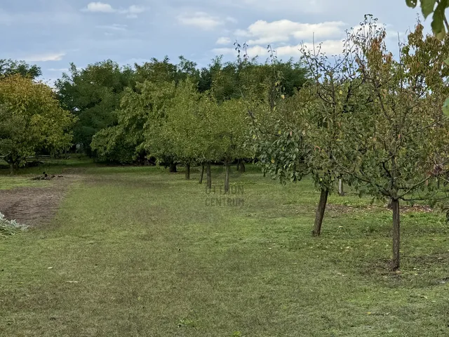 Eladó telek Nyíregyháza, Borbánya 1590 nm