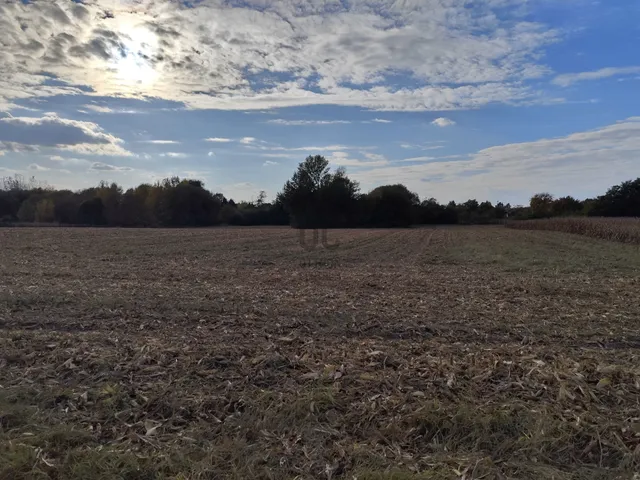 Eladó telek Nyíregyháza, Borbánya 4503 nm