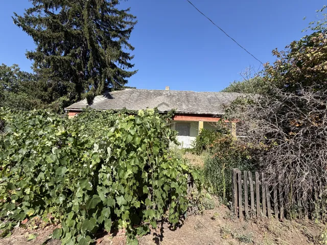 Eladó kereskedelmi és ipari ingatlan Nyíregyháza, Butyka 5462 nm
