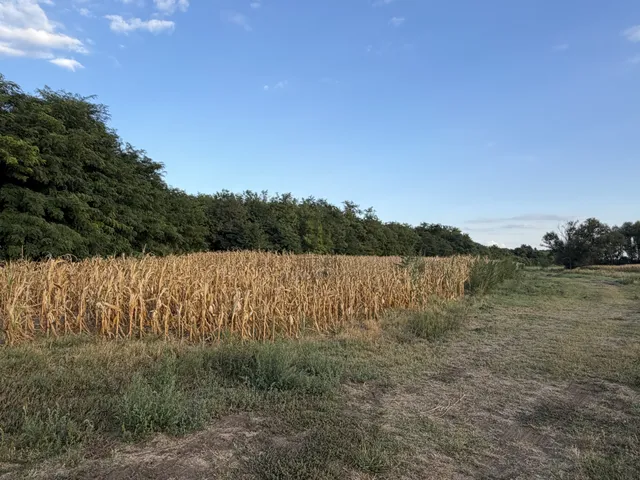 Eladó telek Nyíregyháza, Oros 14694 nm