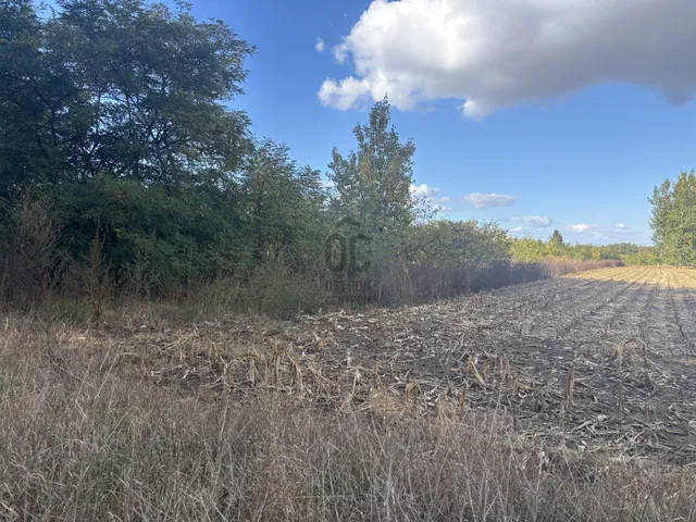 Eladó mezőgazdasági ingatlan Nyíregyháza 31004 nm