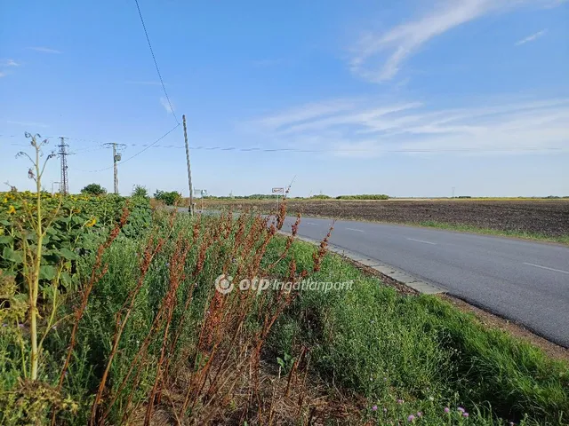 Eladó telek Kömlő 8250 nm