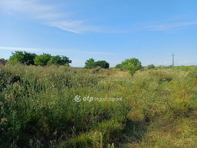 Eladó telek Kömlő 8250 nm