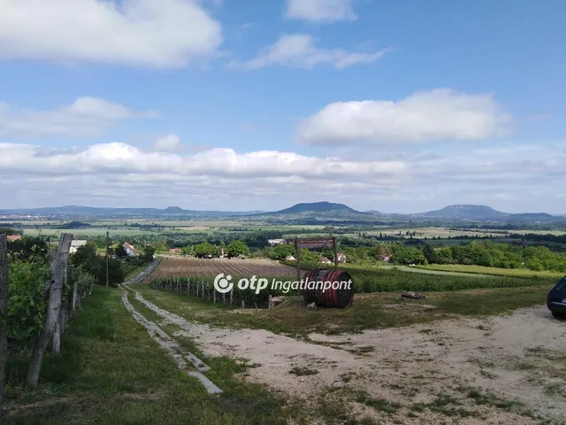 Eladó mezőgazdasági ingatlan Lesencetomaj, Badacsony 71183 nm