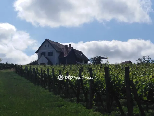 Eladó mezőgazdasági ingatlan Lesencetomaj, Badacsony 71183 nm