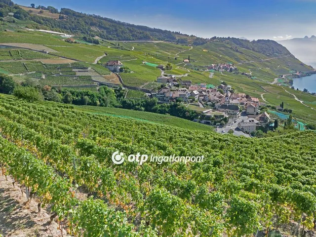 Eladó mezőgazdasági ingatlan Lesencetomaj 71183 nm