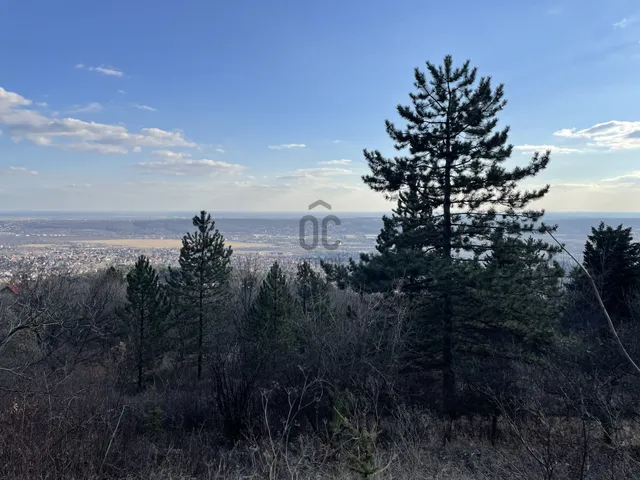 Eladó telek Budaörs, Őzike utca 3162 nm