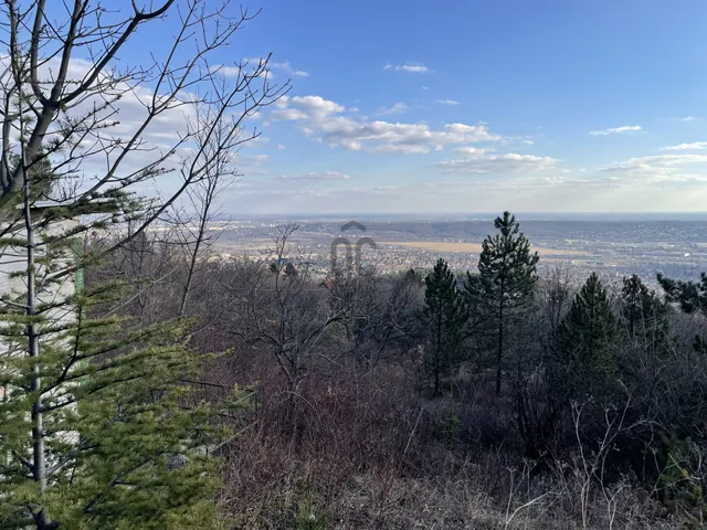 Eladó telek Budaörs 3162 nm