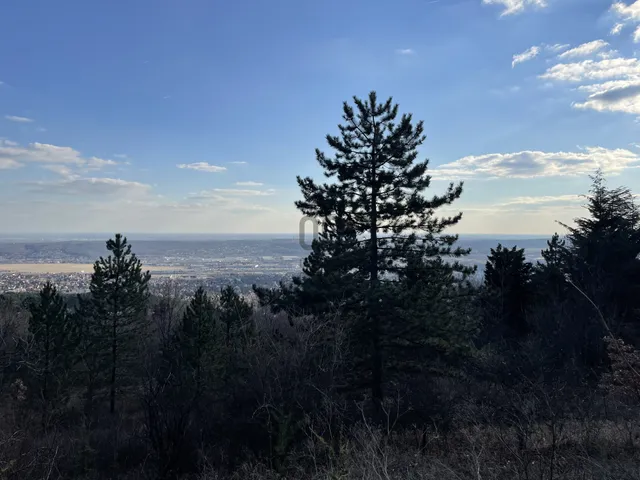 Eladó telek Budaörs 3159 nm