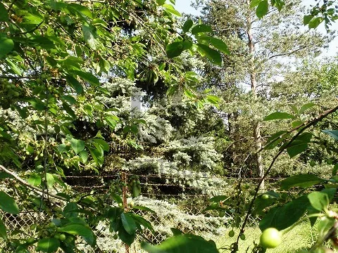Eladó telek Páty 1514 nm