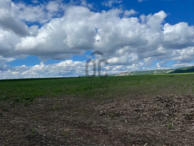 Eladó telek Budajenő 2421 nm