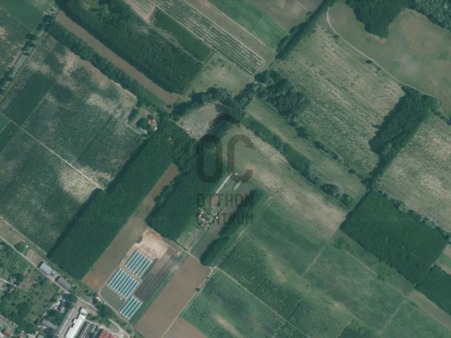 Eladó mezőgazdasági ingatlan Dánszentmiklós 4106 nm