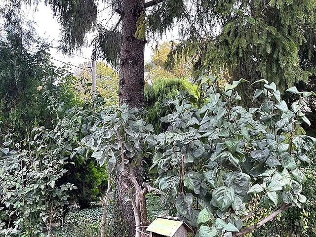 Eladó ház Páty 85 nm