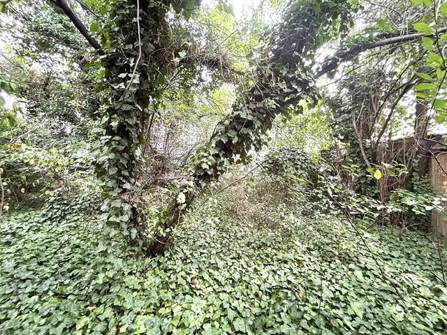 Eladó ház Budapest IV. kerület 94 nm