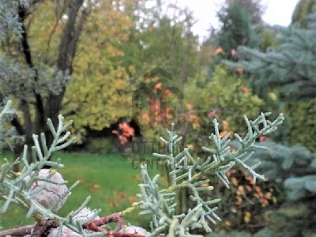 Eladó telek Telki 2115 nm