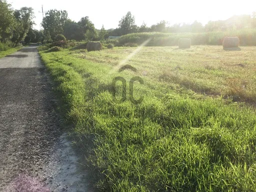 Eladó telek Telki 2115 nm