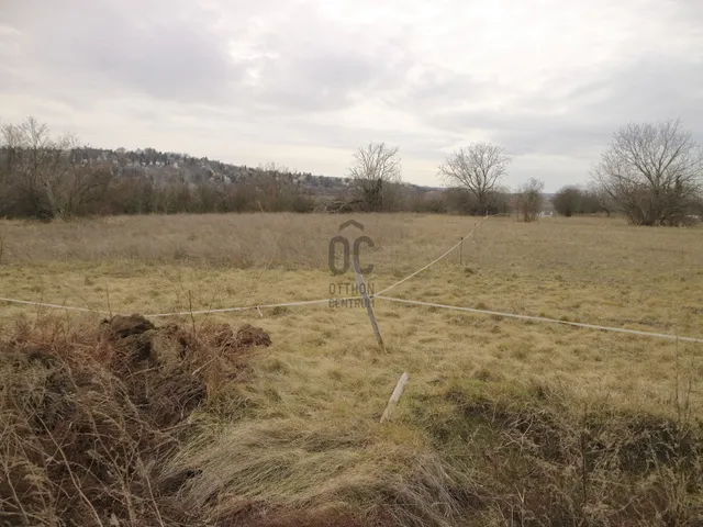 Eladó mezőgazdasági ingatlan Törökbálint 7215 nm