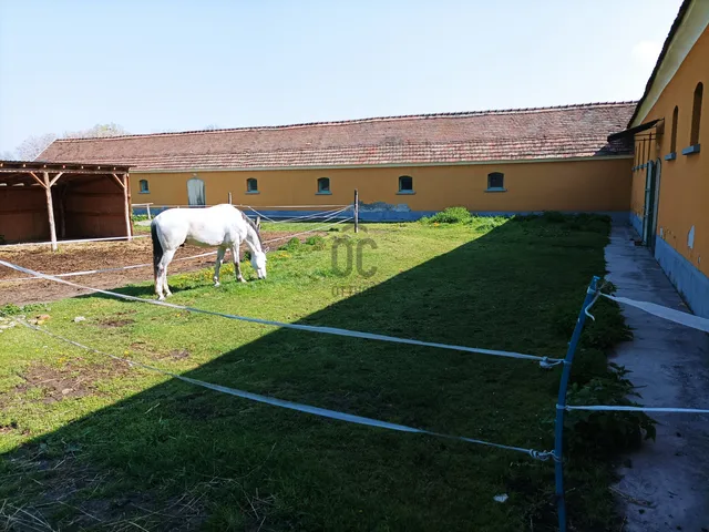 Eladó mezőgazdasági ingatlan Környe 73300 nm