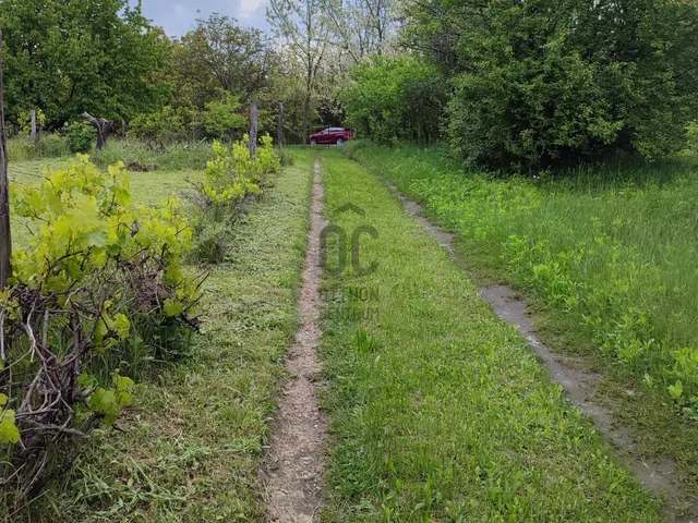 Eladó telek Dunaalmás 2500 nm