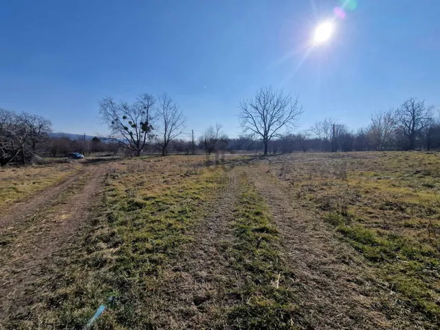 Eladó mezőgazdasági ingatlan Környe 42720 nm