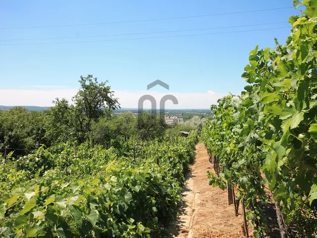 Eladó telek Tatabánya 558 nm