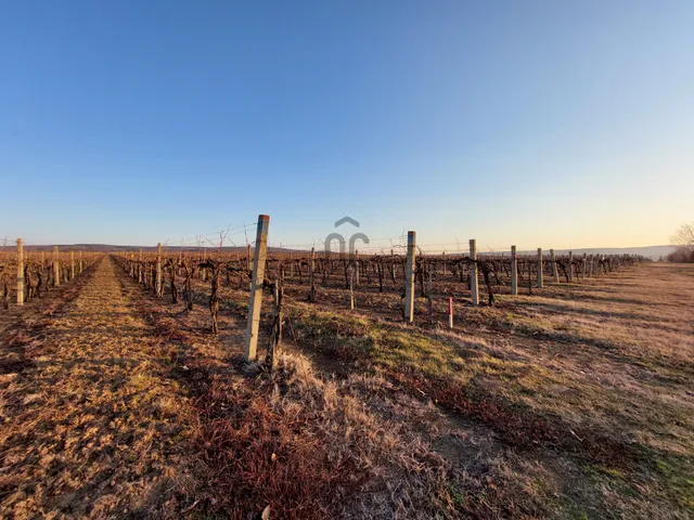 Eladó mezőgazdasági ingatlan Balatonszemes 7189 nm