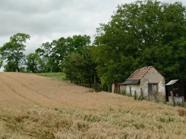 Eladó ház Tengőd 52 nm