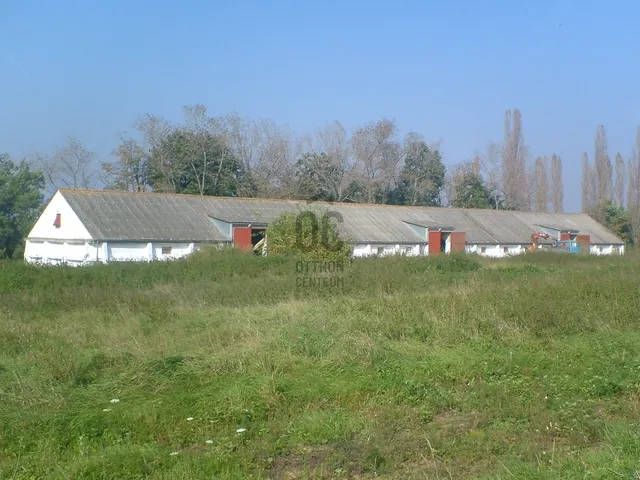 Eladó mezőgazdasági ingatlan Ecseny 68478 nm
