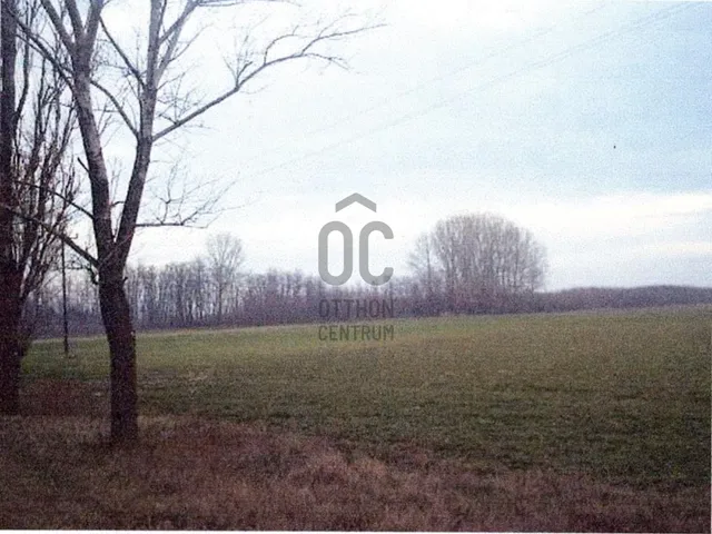 Eladó mezőgazdasági ingatlan Fülöpháza 622000 nm