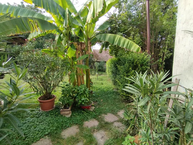 Eladó ház Ádánd 251 nm