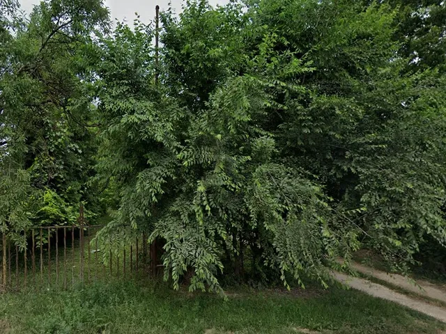 Eladó telek Siófok, Fokihegy 1003 nm