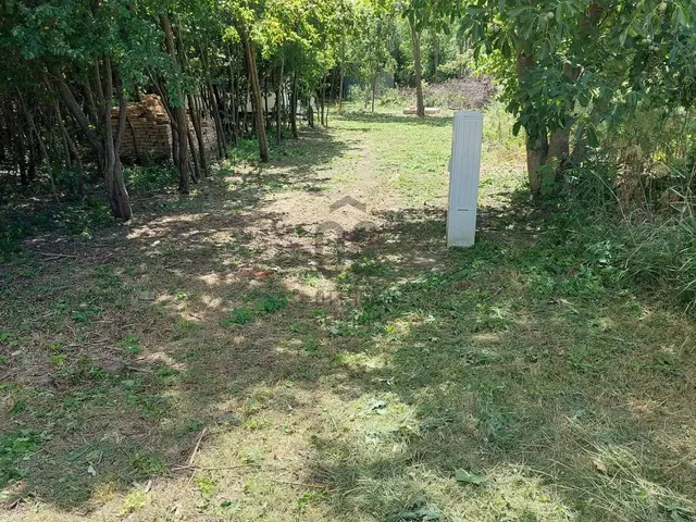 Eladó mezőgazdasági ingatlan Balatonszabadi 1777 nm