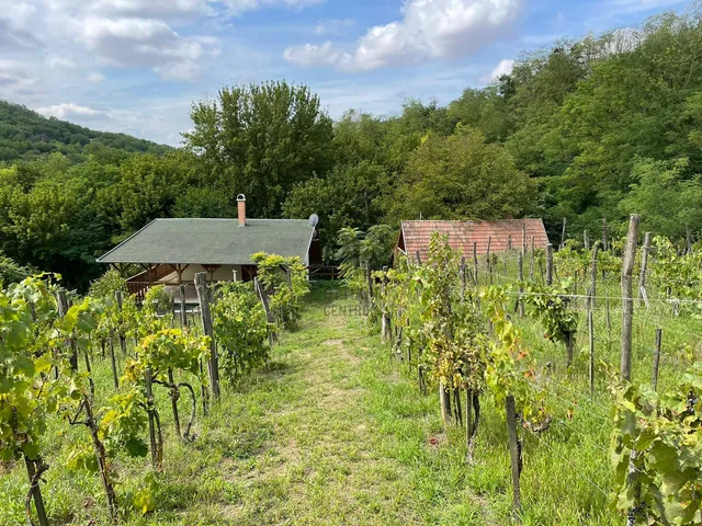 Eladó üdülő és hétvégi ház Pincehely 90 nm