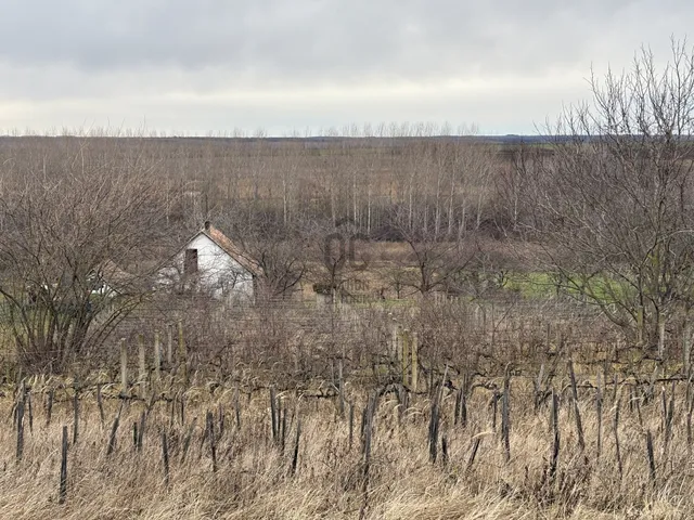 Eladó mezőgazdasági ingatlan Ádánd 6172 nm