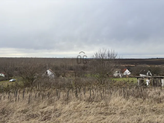 Eladó mezőgazdasági ingatlan Ádánd 6172 nm