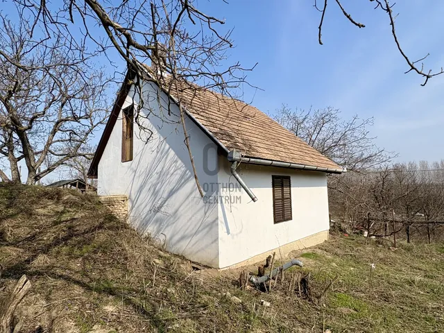 Eladó mezőgazdasági ingatlan Ádánd 6172 nm