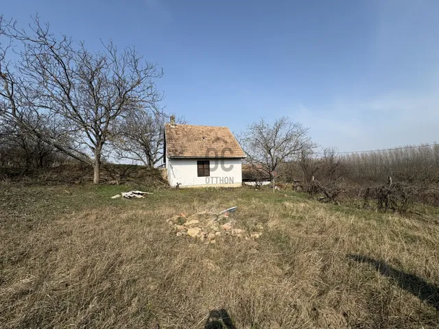 Eladó mezőgazdasági ingatlan Ádánd 6172 nm